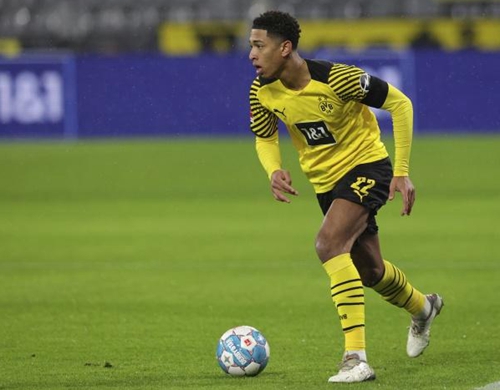 汇聚国内顶尖骑手！这场马术巅峰赛将在桐庐举行（桐庐上演马术巅峰对决，国内顶尖骑手齐聚）